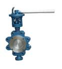 Lug type double offset Butterfly Valve