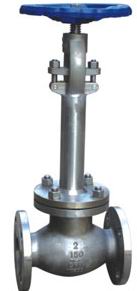 Cryogenic globe valve with Extended bonnets