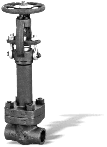 Cryogenic globe valve with Extended bonnets